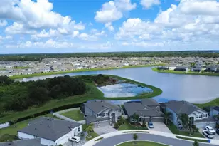 3195 King Fern Dr, Wimauma, FL 33598 - Photo 91