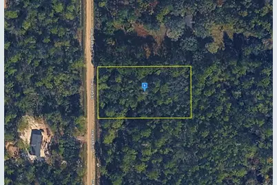 10030 Delgado Avenue, Hastings, FL 32145 - Photo 1