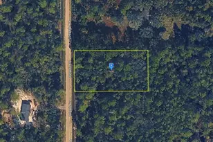 10030 Delgado Ave, Hastings, FL 32145 - Photo 1