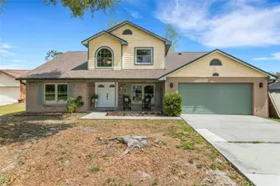 4304 Lukow Pl, Valrico, FL 33596 - Photo 1