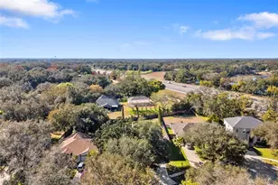 1542 McCrea Dr, Lutz, FL 33549 - Photo 93