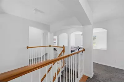 1542 McCrea Drive, Lutz, FL 33549 - Photo 43