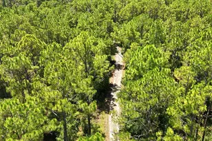 41250 Sr-64 E, Myakka City, FL 34251 - Photo 11