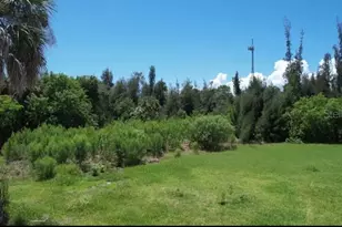 435 Orchid Dr, Punta Gorda, FL 33950 - Photo 1