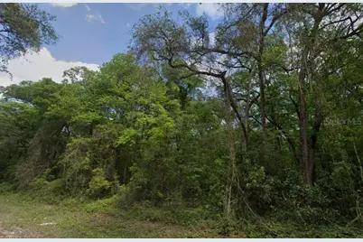 Ne 644th Ave, Old Town, FL 32680 - Photo 3