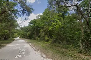 NE 644th Ave, Old Town, FL 32680 - Photo 1