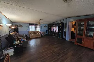 8323 Fantasia Park Way, Riverview, FL 33578 - Photo 3