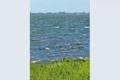 337 N Shore Drive, Sarasota, FL 34234 - Photo 3