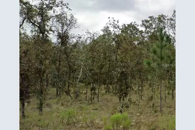 Ne 11th Street, Williston, FL 32696 - Photo 1