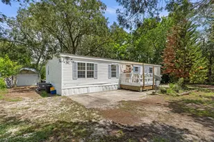 3322 Susan Dr, Spring Hill, FL 34606 - Photo 3