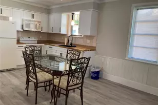 31 W Oakwood St, Tarpon Springs, FL 34689 - Photo 3
