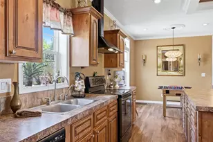 25916 State Road 64 E, Myakka City, FL 34251 - Photo 21