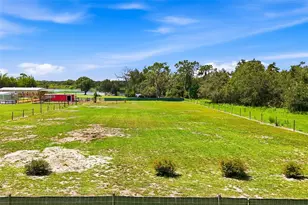 25916 State Road 64 E, Myakka City, FL 34251 - Photo 41