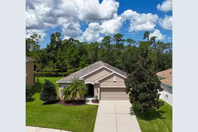 7711 110th Avenue E, Parrish, FL 34219 - Photo 53