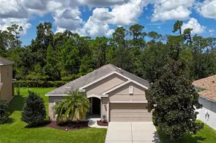 7711 110th Ave E, Parrish, FL 34219 - Photo 53