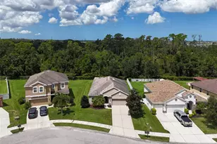 7711 110th Ave E, Parrish, FL 34219 - Photo 3