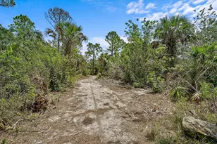 11871 Granite Woods Loop, Venice, FL 34292 - Photo 43