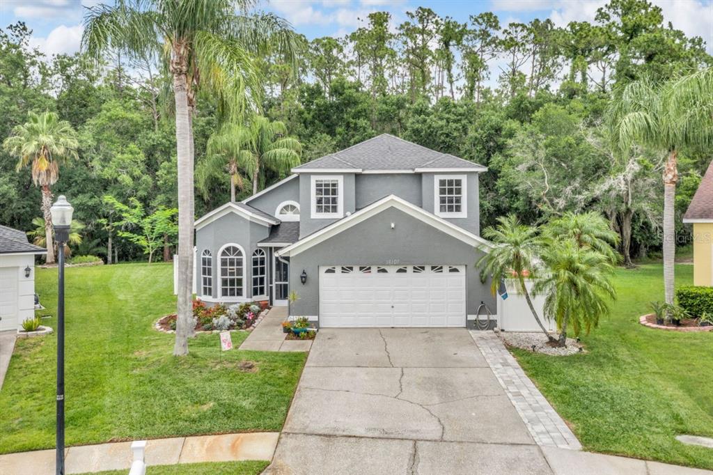 16107 Wentworth Way - 16107 Wentworth Way, Odessa, FL 33556 Luxury Property | Jose Angel Pina