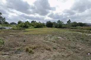 2911 2nd St SW, Lehigh Acres, FL 33976 - Photo 1