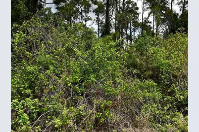 Flambeau Avenue, North Port, FL 34288 - Photo 5
