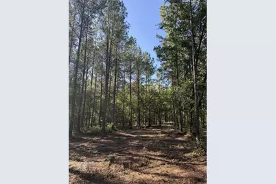 NeÂ 198th Ave, Lake Butler, FL 32054 - Photo 3