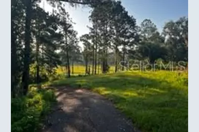 423 SW Alderene Park Way, Madison, FL 32340 - Photo 17