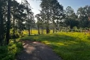 423 SW Alderene Park Way, Madison, FL 32340 - Photo 17
