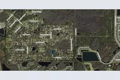 32-26-18-0010-00000-0560 Country Lane, Lutz, FL 33558 - Photo 9
