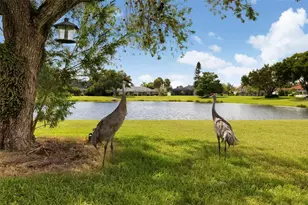 3205 Wilderness Blvd E, Parrish, FL 34219 - Photo 57
