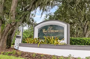 3205 Wilderness Blvd E, Parrish, FL 34219 - Photo 87