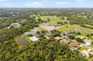 3205 Wilderness Blvd E, Parrish, FL 34219 - Photo 93