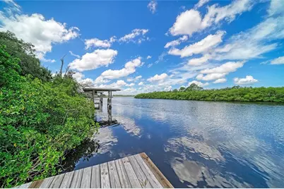 1609 Saffold Park Drive, Ruskin, FL 33570 - Photo 39
