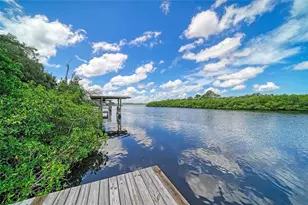 1609 Saffold Park Dr, Ruskin, FL 33570 - Photo 39