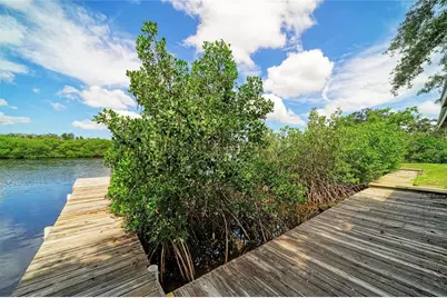 1609 Saffold Park Drive, Ruskin, FL 33570 - Photo 33