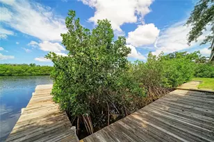 1609 Saffold Park Dr, Ruskin, FL 33570 - Photo 33