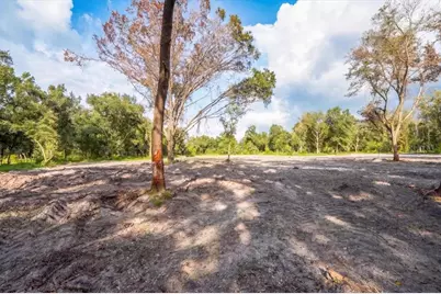 Gill Road, Myakka City, FL 34251 - Photo 5