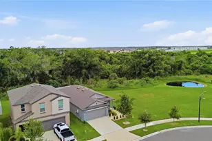 10331 Blue Plume Ct, Riverview, FL 33578 - Photo 45