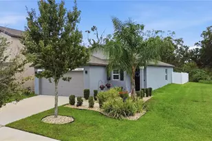10331 Blue Plume Ct, Riverview, FL 33578 - Photo 53