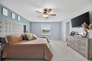 10022 Rose Petal Pl, Riverview, FL 33578 - Photo 23