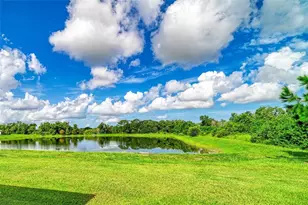 11007 Tamarack Pl, Parrish, FL 34219 - Photo 29