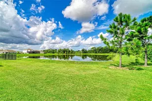 11007 Tamarack Pl, Parrish, FL 34219 - Photo 29
