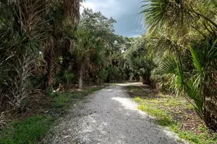8504 Snowfall St, Sarasota, FL 34241 - Photo 21