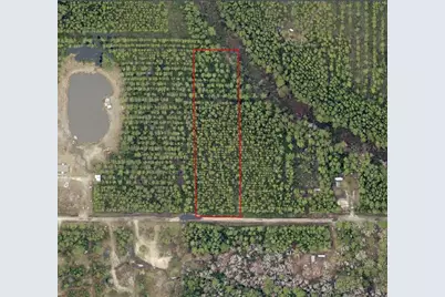 Ne 215th Street, Fort Mc Coy, FL 32134 - Photo 1