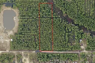 NE 215th St, Fort Mc Coy, FL 32134 - Photo 1