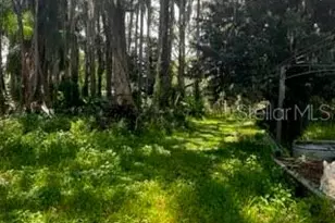 12919 Broleman Rd, Orlando, FL 32832 - Photo 13