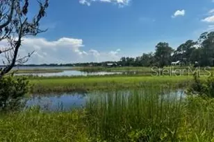 12919 Broleman Rd, Orlando, FL 32832 - Photo 15