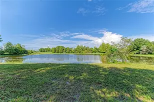 6055 Co Rd 675, Myakka City, FL 34251 - Photo 59