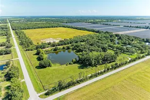 6055 Co Rd 675, Myakka City, FL 34251 - Photo 3