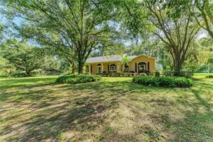 6055 Co Rd 675, Myakka City, FL 34251 - Photo 11