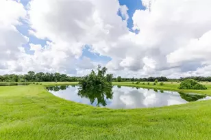 3005 Verna Bethany Rd, Myakka City, FL 34251 - Photo 27